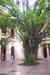 A marble courtyard at the university